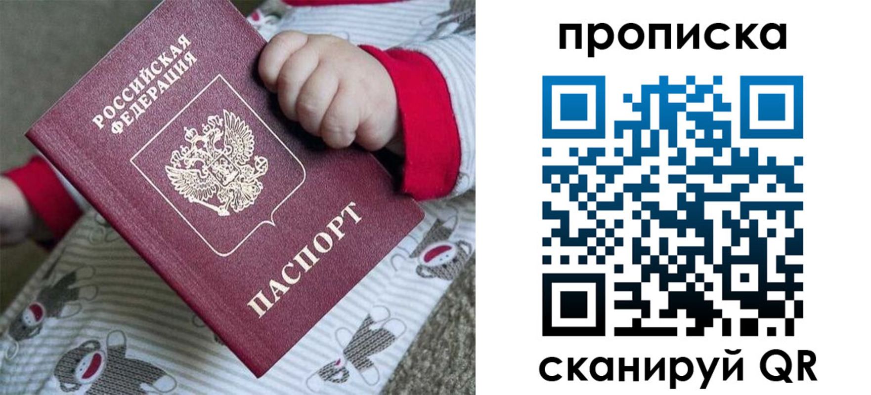 прописка 2025 в Нелидово